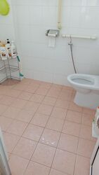 Blk 113 Bukit Purmei Road (Bukit Merah), HDB 3 Rooms #569724611